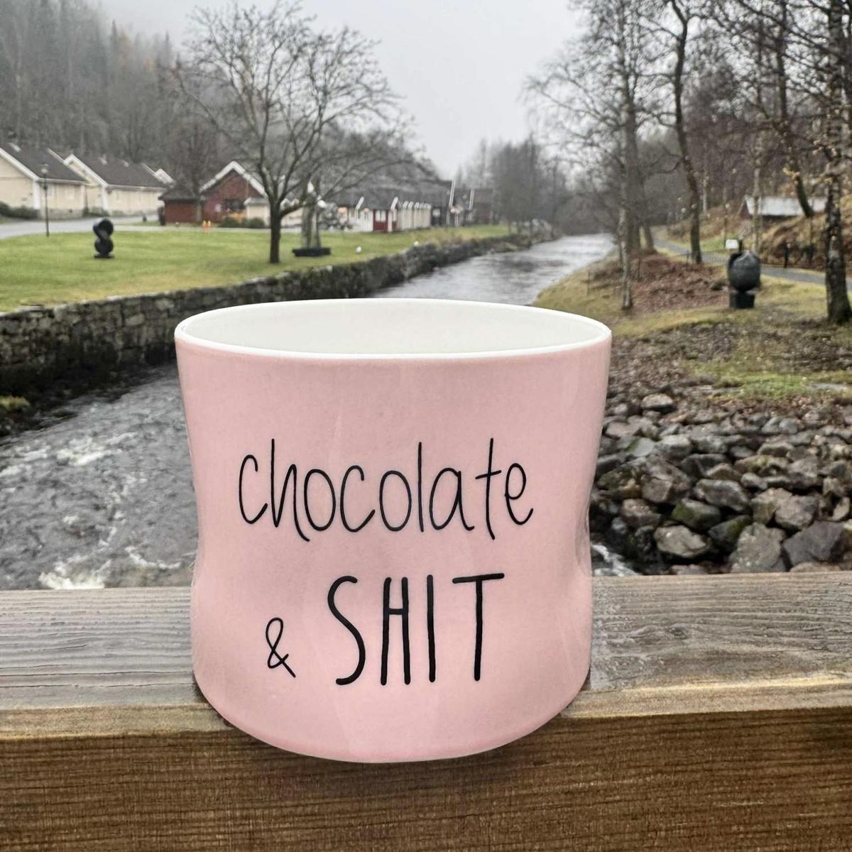 Oledunk - chocolate & shit